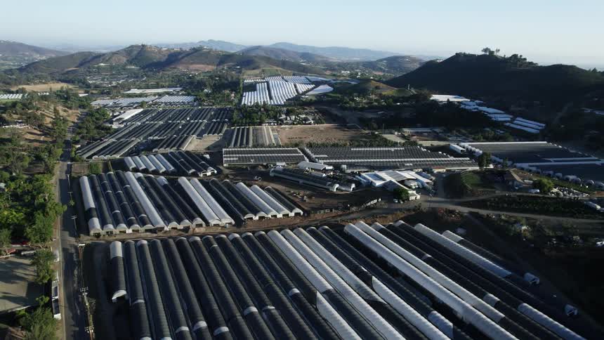 Aerial view of greenhouses on the fields of a farm on the hills at morning