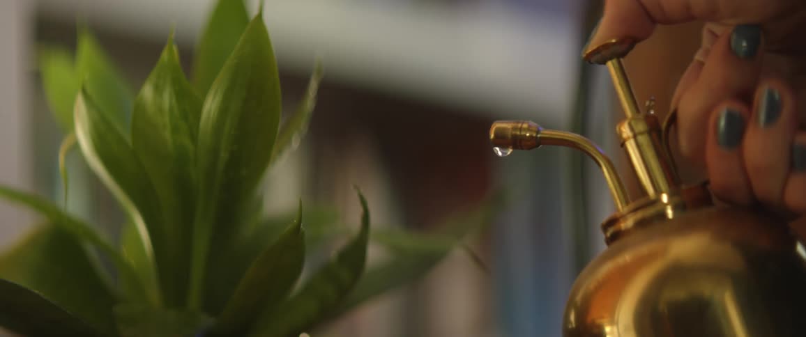 A woman sprays water on an indoor plant