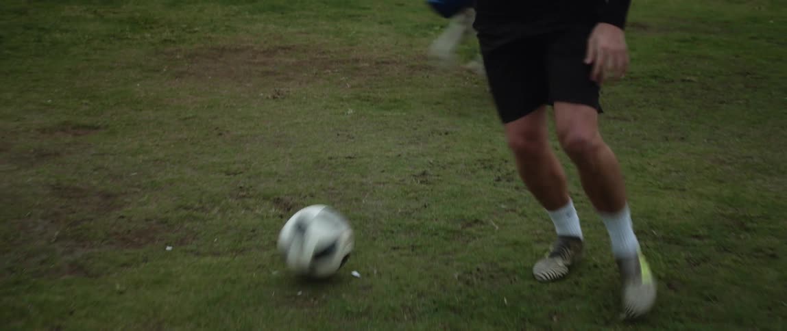A man kicks a soccer ball down a field as a dog runs past him