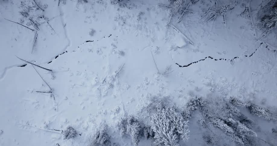 Camera zooms out while focused on large crack across snowy forest floor
