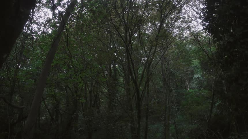 People In Nature