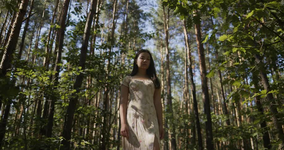 A woman wearing a white dress is standing in the woods as the sun shines through the trees