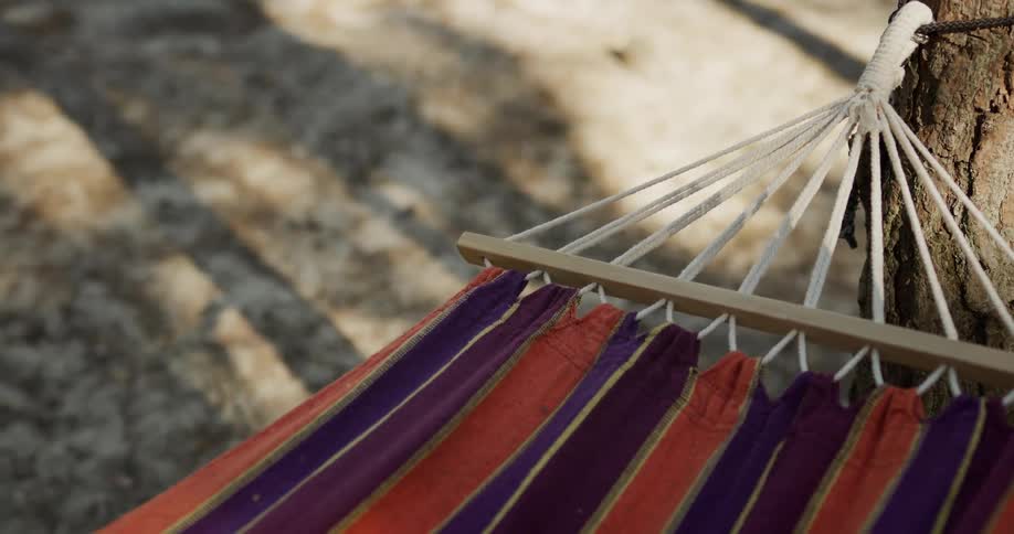 Striped hammock attached to tree sways over shadow covered ground