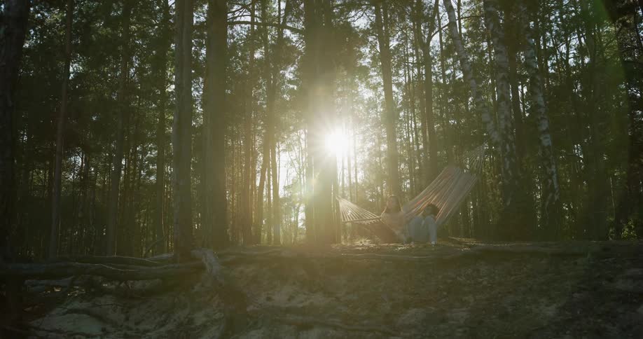 The sun is low in the sky and shining through the trees in the forest