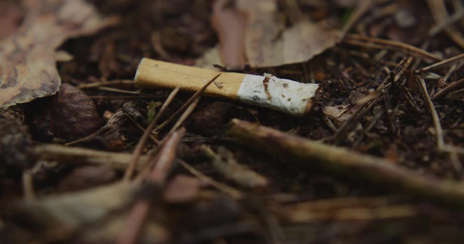 A cigarette butt on the ground with leaves and sticks