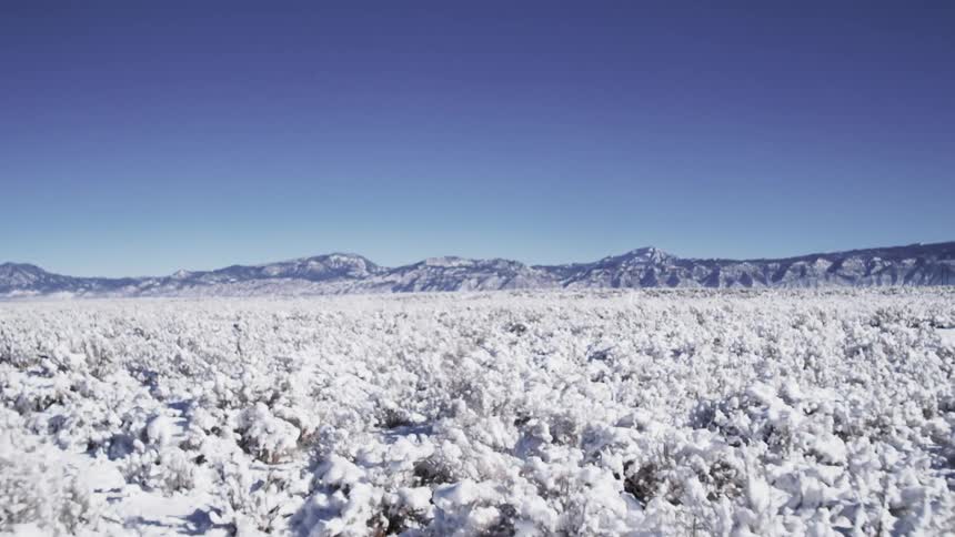 Moving aerial view of snow-covered treetops