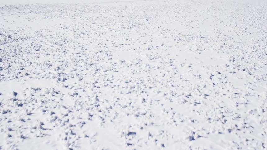 A field is covered with snow
