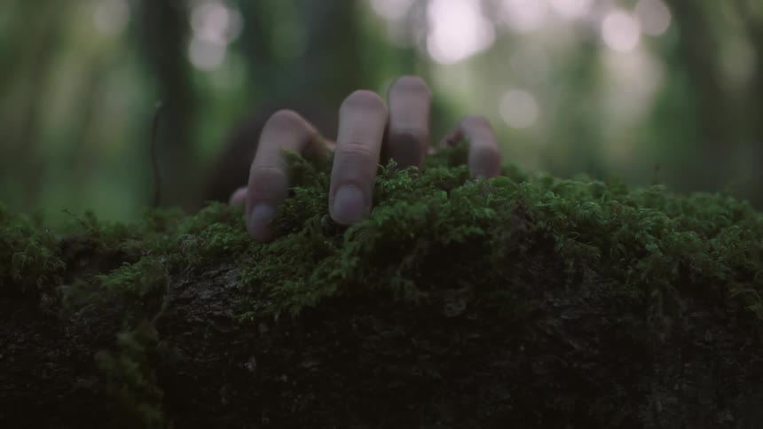 A hand grasps at moss on a log