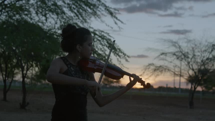 A woman is playing the violin at sunset