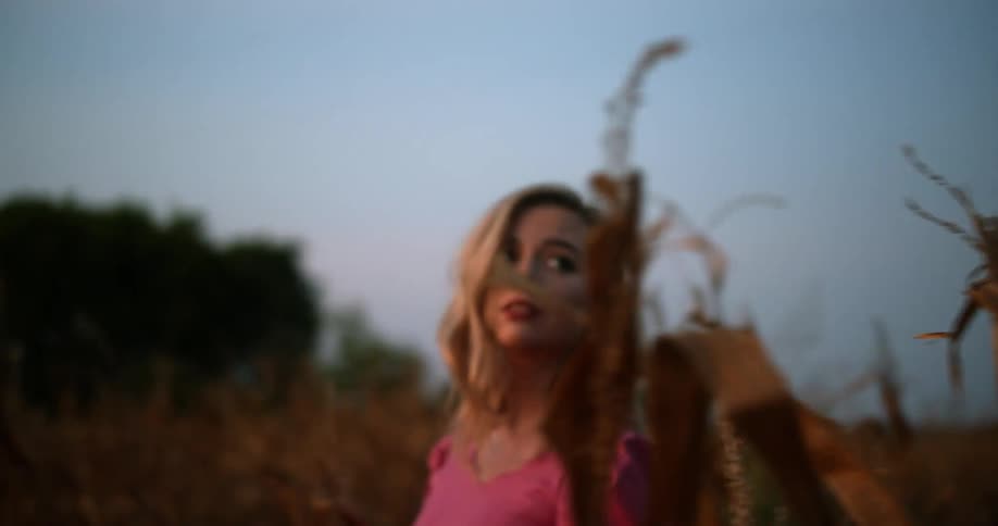A blond woman in a pink dress is walking through a corn field