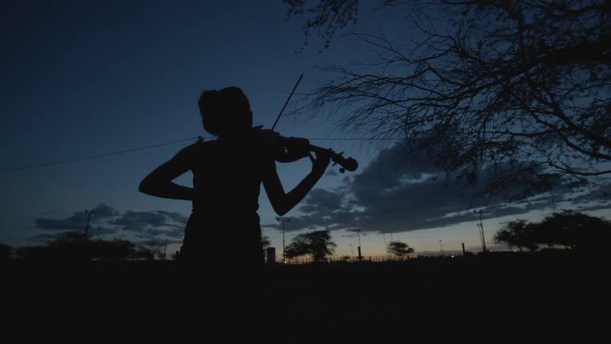 Woman playing violin is silhouetted against the sky next to bare tree at dusk