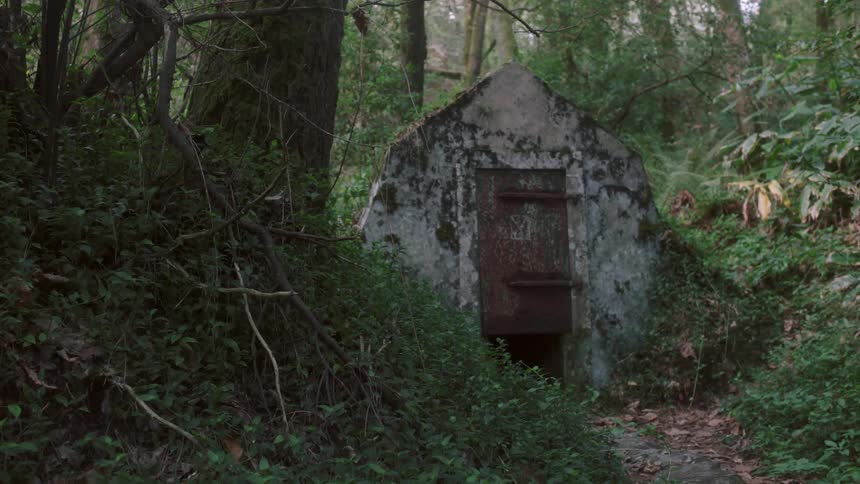 Small structure standing in the middle of a forest