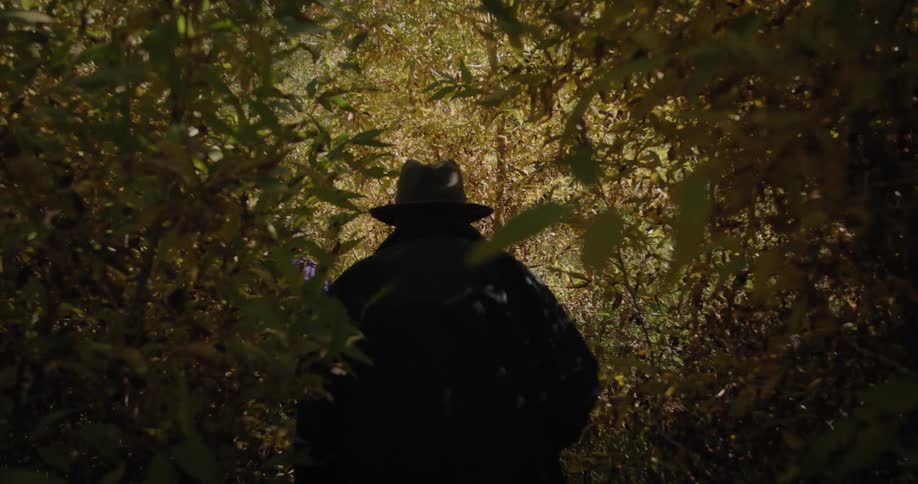 Two people walk through a heavily treed forest