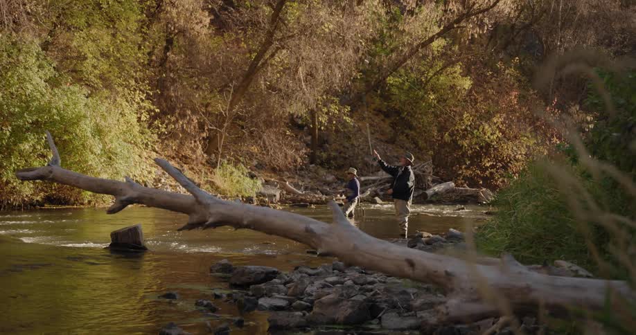 Two men are fishing in a river in a forest