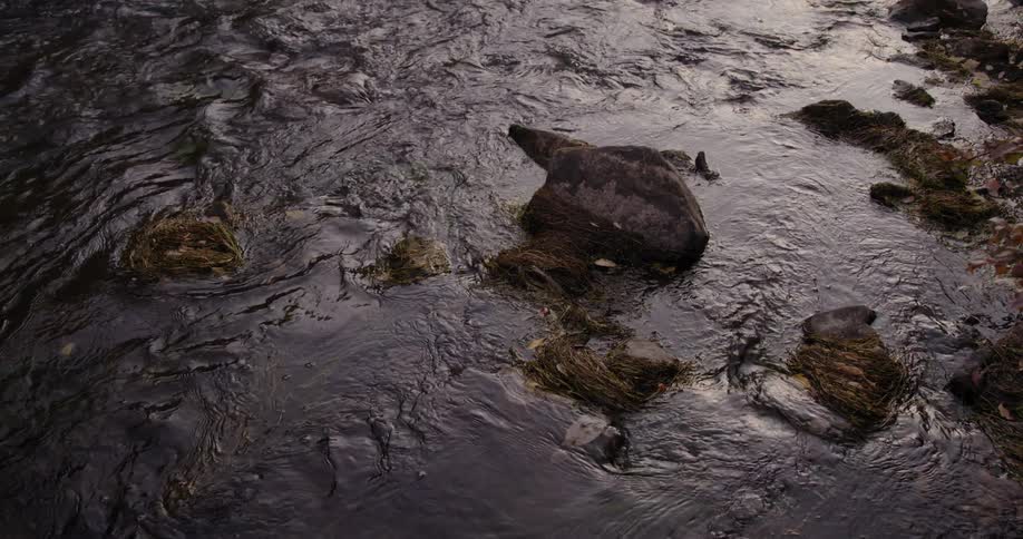 Water flows around rocks in a stream during the day