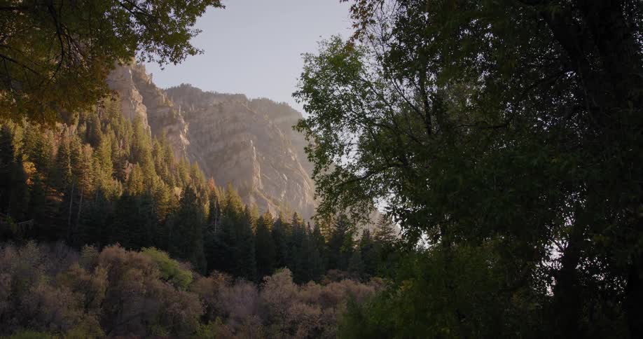 Landscape of autumn forest and high mountain