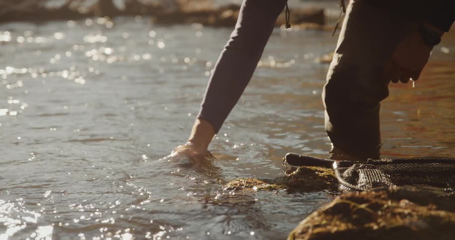 A fisherman puts a fish back into the river