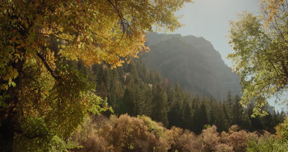 Landscape of autumn forest and high mountain on a sunny day