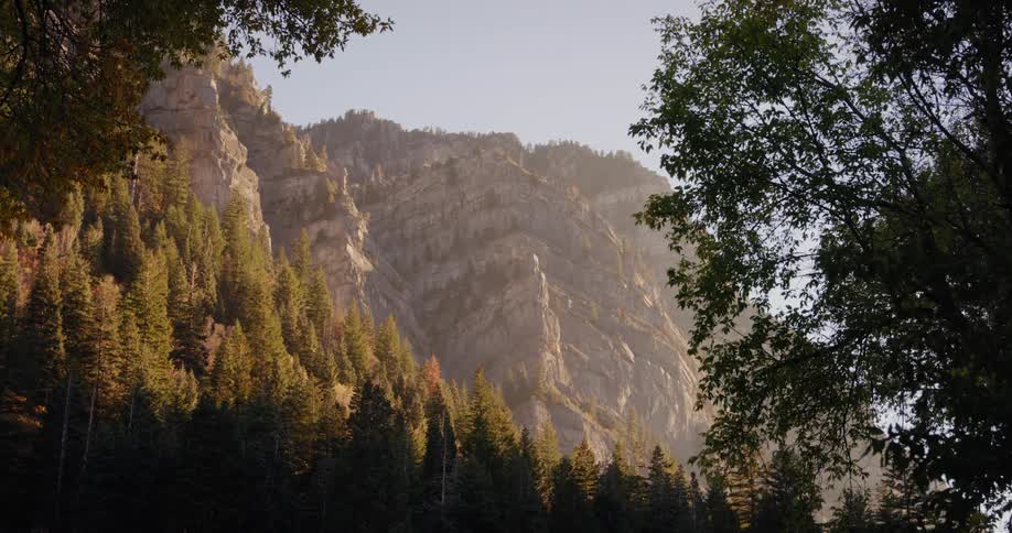 Landscape of autumn forest and high mountain