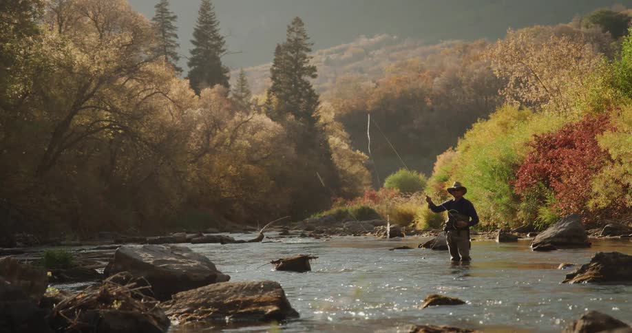 A man is fly fishing in the creek