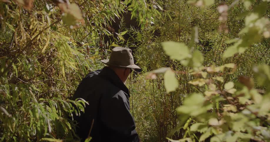 Elderly man carrying a fishing rod walks through the dense vegetation near a river