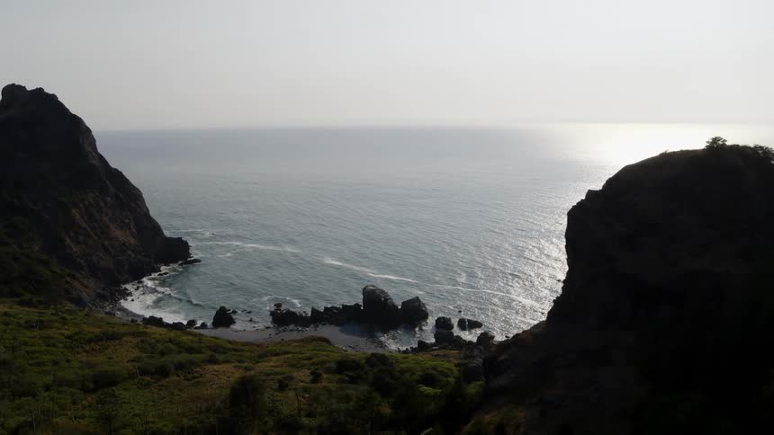 Pullback reveal of a coastal forest growing between two sea cliffs