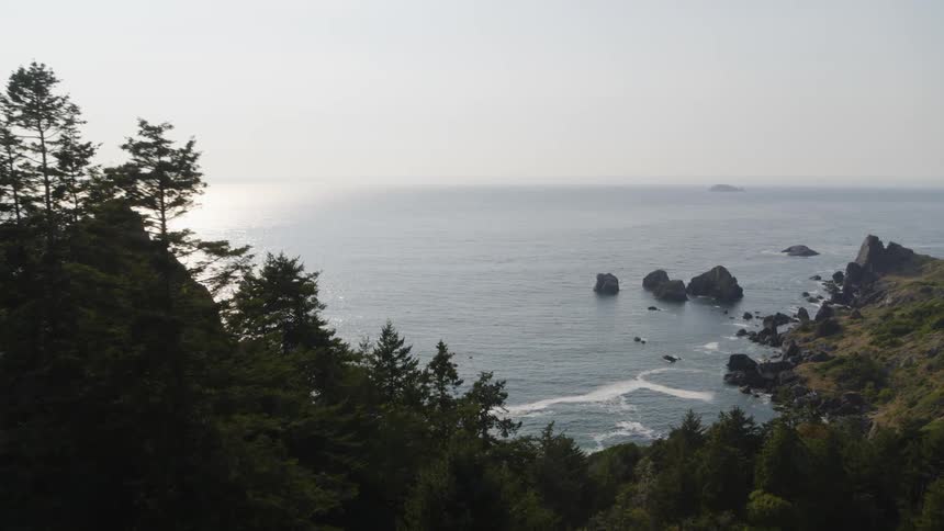 Descending along the treetops towards a beautiful and rugged coastline