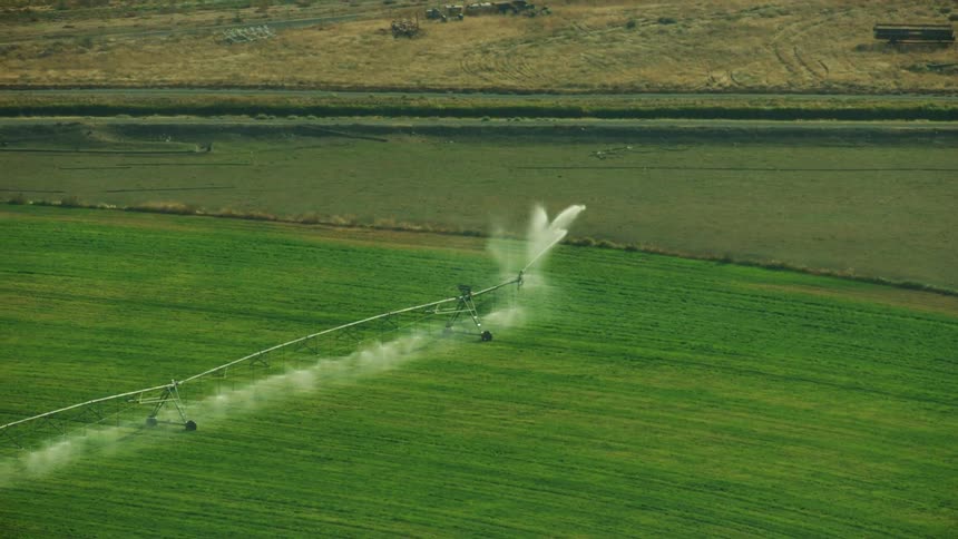 Aerial shot of a center pivot irrigation sprinkler blasting a huge field of Alfalfa