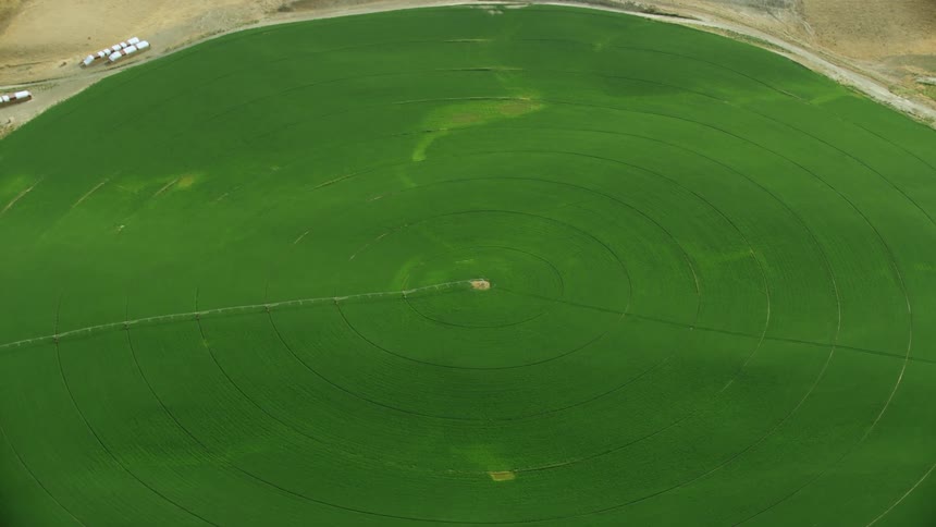 A perfectly round and huge circle of corn rises from the arid desert as the camera passes directly over the middle of the center pivot irrigation system from high above in this aerial shot