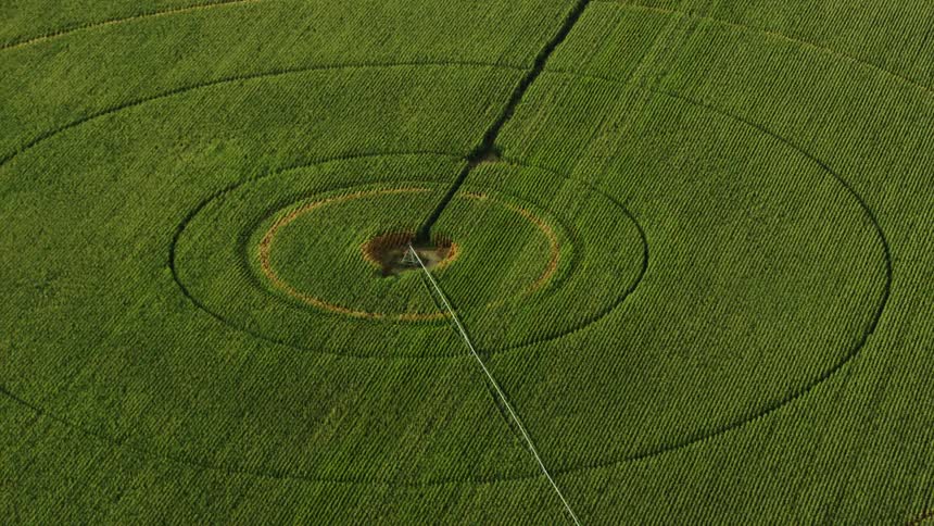 An aerial tight shot of circular corn field in the heartland USA showing how neat and organized corn is planted and grown in this part of the world