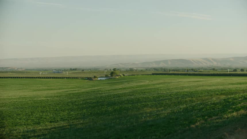 Aerial view of green fields of clover and distant wind turbines in a pastoral valley