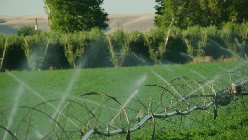 High energy moving shot of irrigation sprinklers watering the arid western US under the hot summer sun
