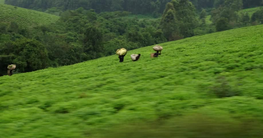 A group of people are trekking up a hillmountainside with weaved baskets on their heads