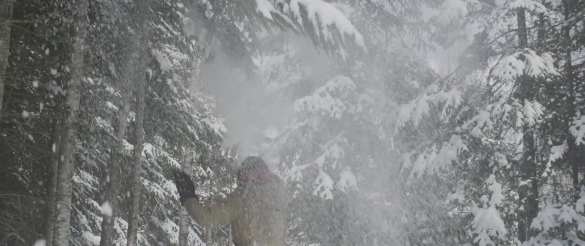 Snow falls on a woman as she jumps up to grab a tree branch while walking through a forest