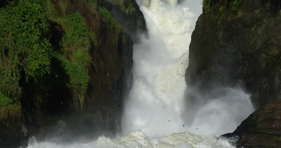 Birds are flying as water rushes down the waterfall and through the rapids and steam rises in the crevasse