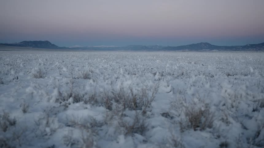 A field covered with snow at dusk or dawn