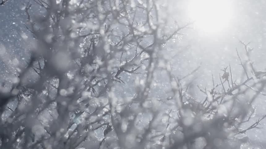 Snow Scenics