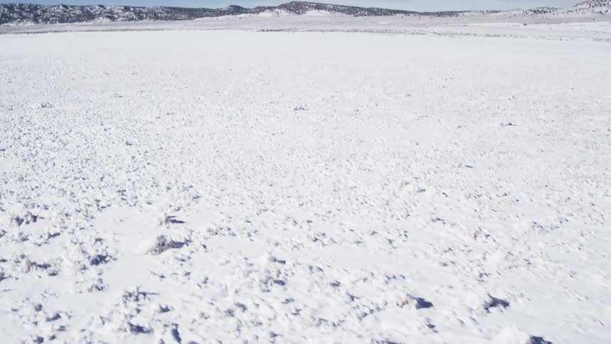 Footprints in the snow on a clear winter day
