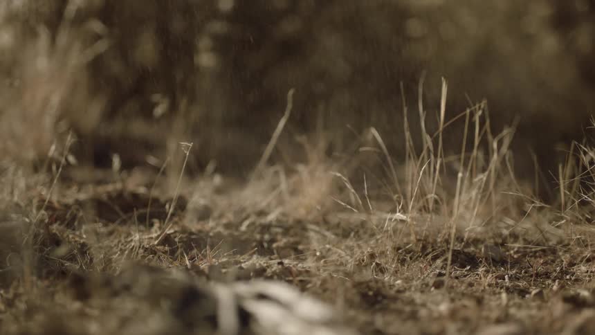 Dust and dirt blow across the ground