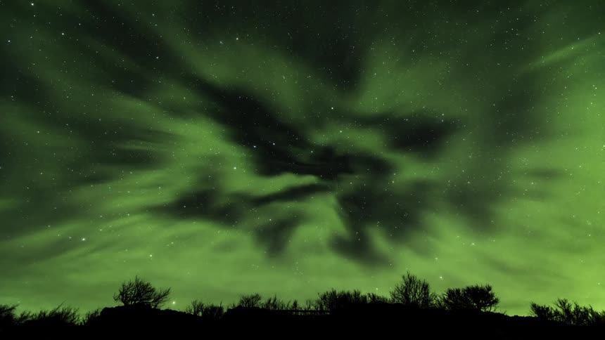 The green lights of the aurora borealis move across the night sky over the trees