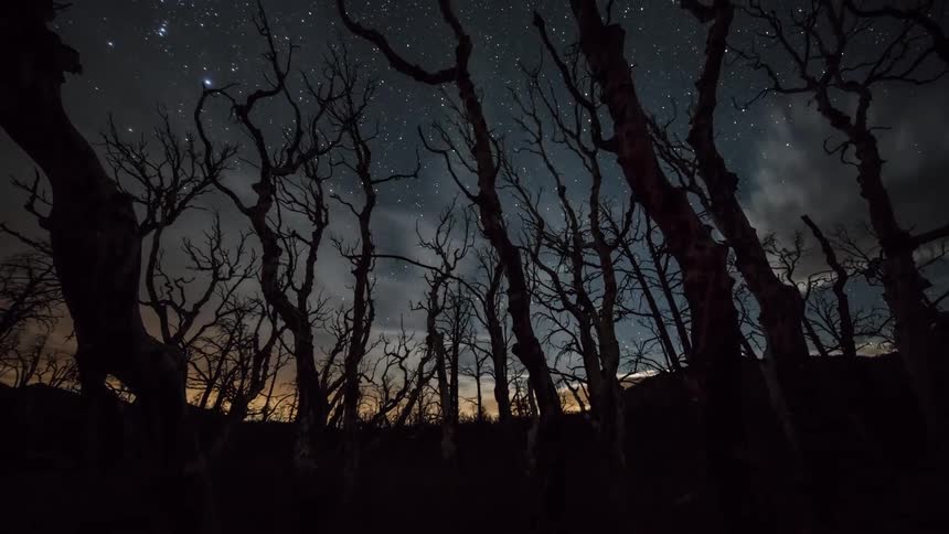 The sky is seen through bare trees in the woods as clouds move by and stars emerge as the sky grows dark
