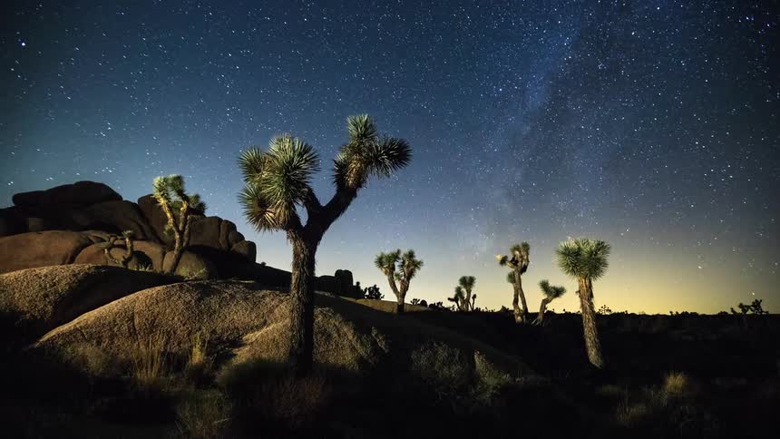 A view of nature with stars in the background