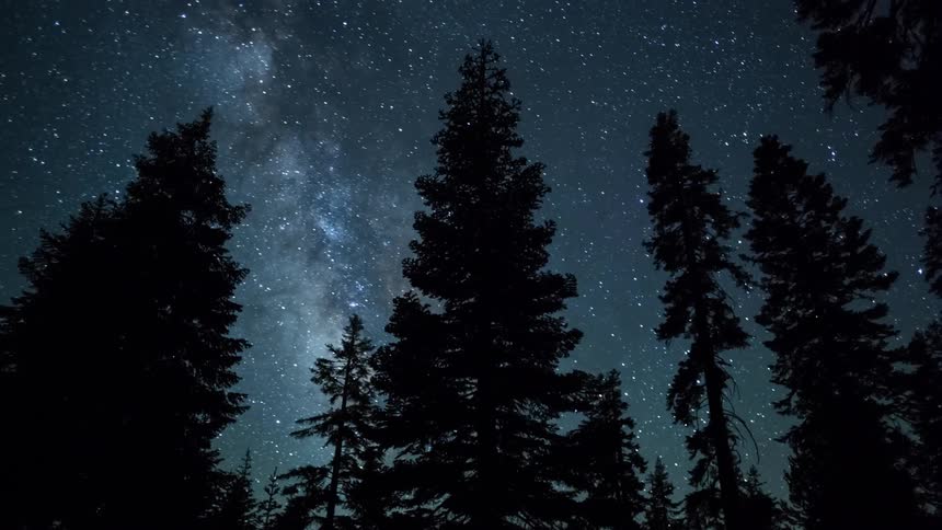Silhouette of pine trees in front of a the rotating starry night sky
