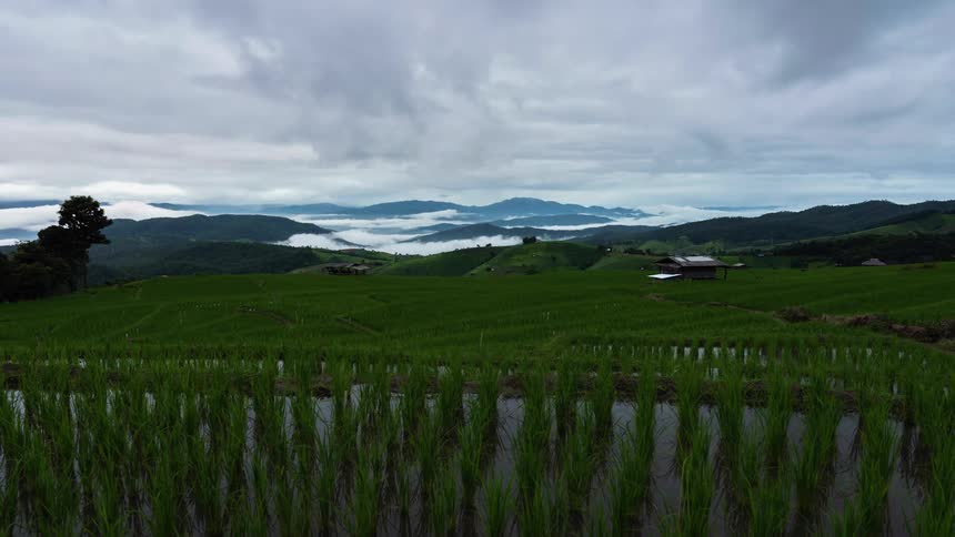 Time lapse of clouds passing over the rice fields at daytime