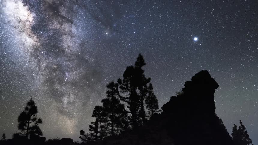 The stars of the milky way move over the trees in the night sky