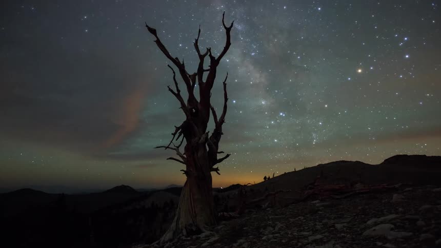 Stars in the night sky are seen through the branches of a bare tree as the move over the mountains as daylight arrives