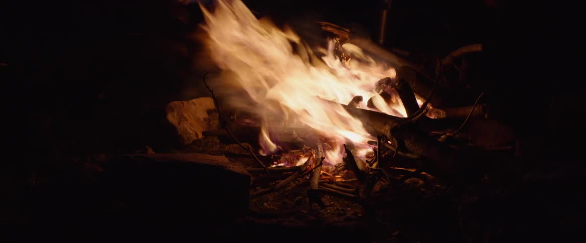 The flames of a campfire sway in the wind at night