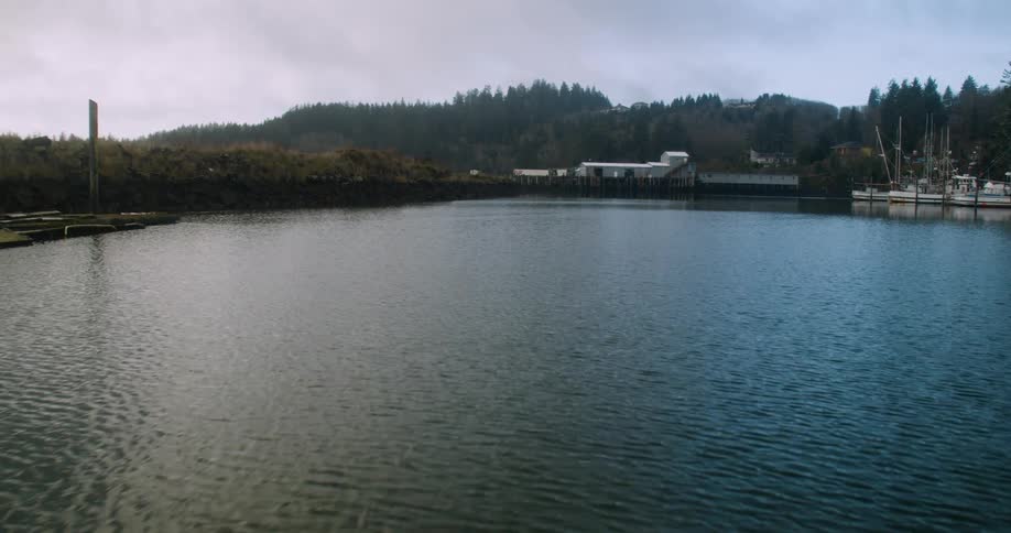 Sailboats sit at dock near forest