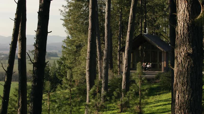 Mature couple relaxes on the porch of a cabin in the woods at daytime
