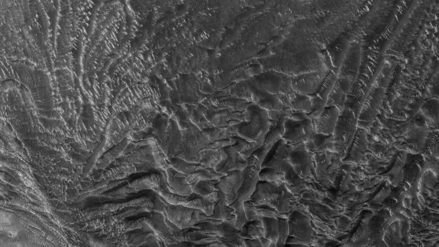Rough surface is covered with crevices and ridges
